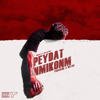 پیدات نمیکنم cover